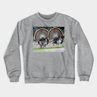 My Fanned Tail Feathers Are Bigger Than Yours Crewneck Sweatshirt